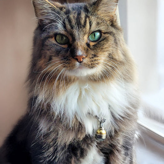 Handmade Cat Bell – Elegant, Loud & Lightweight for Safety
