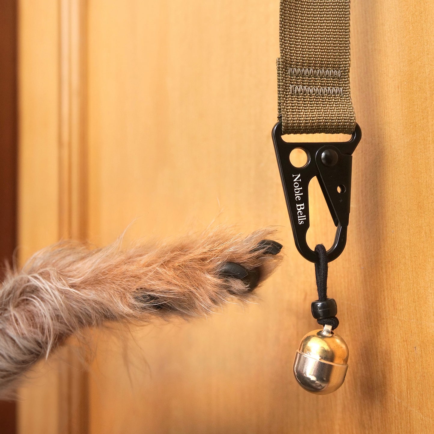 Potty Training Door Bells for Dogs – Fast, Easy & Effective