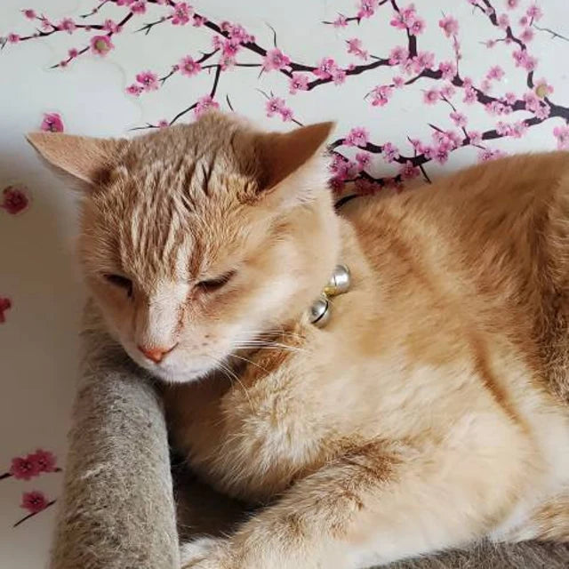 Handmade Cat Bell – Elegant, Loud & Lightweight for Safety